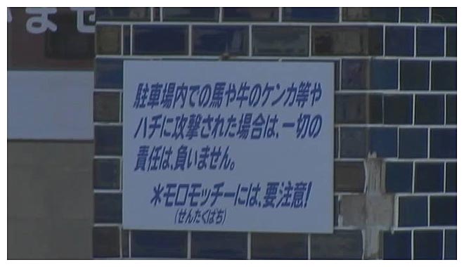 16年03月24日00時30分-外部入力(1：RZ3　)-mn-0(21)