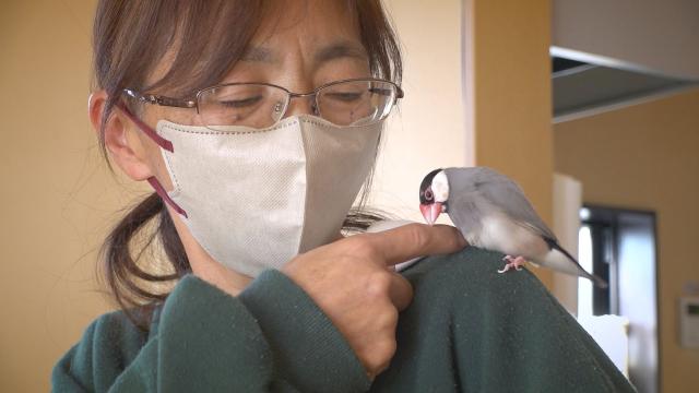 4/11（土）午後5時25分～わんにゃん＋かごしま　優しい心配り♪