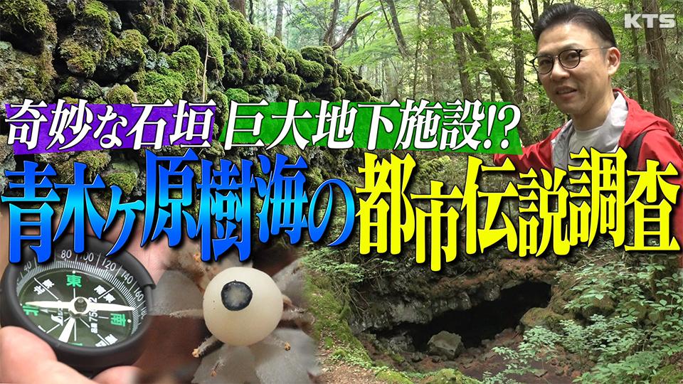 今夜7時～世界の何だコレ！？ミステリー▼樹海に眠る都市伝説調査／封印された箱？