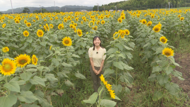 今夜10時54分～『 河内あづきの鹿児島あっちこっち シーズン2』