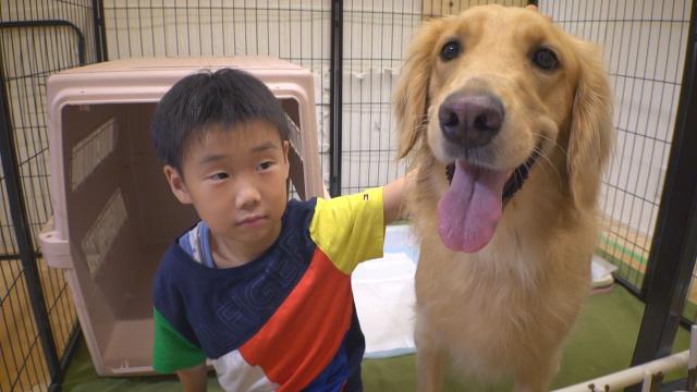 10/3（土）夕方17時25分～わんにゃん＋かごしま　「家族の愛情に支えられて♪」