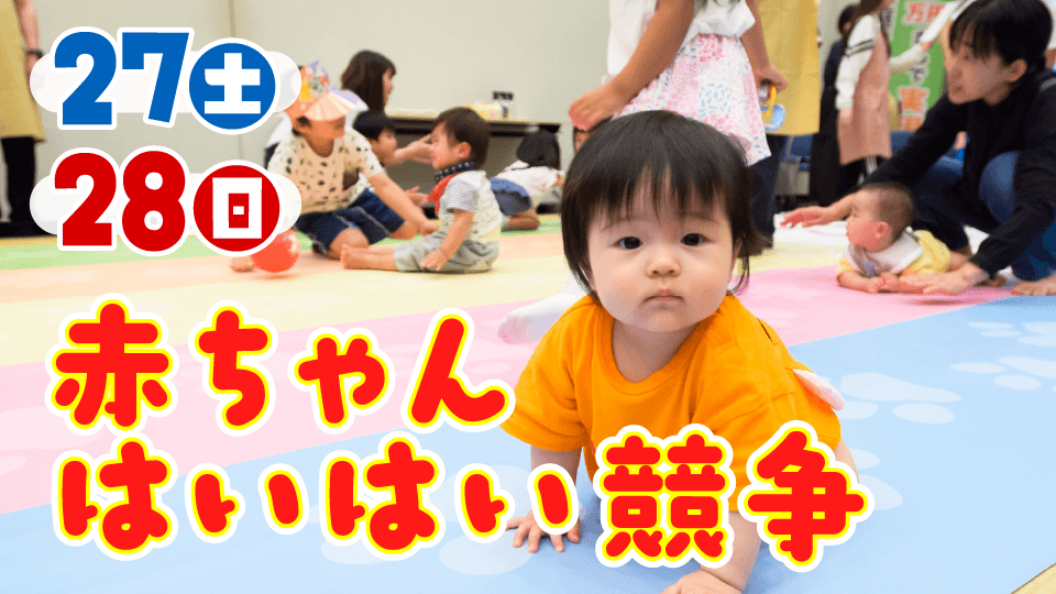 赤ちゃんはいはい競争