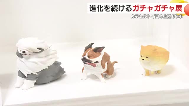 ニュース・スポーツ | KTS鹿児島テレビ