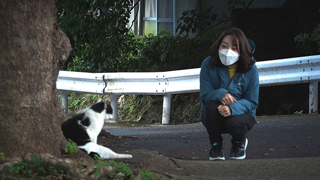 竹添不動産プレゼンツ　わんにゃん＋かごしま　年末スペシャル2021