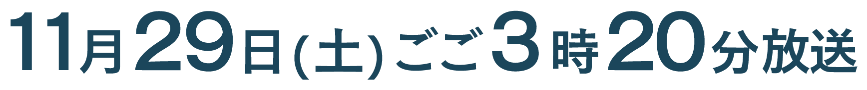 11月29日(土)午後3時20分放送 最後の一球～奇跡は続く 母が見た横田慎太郎～