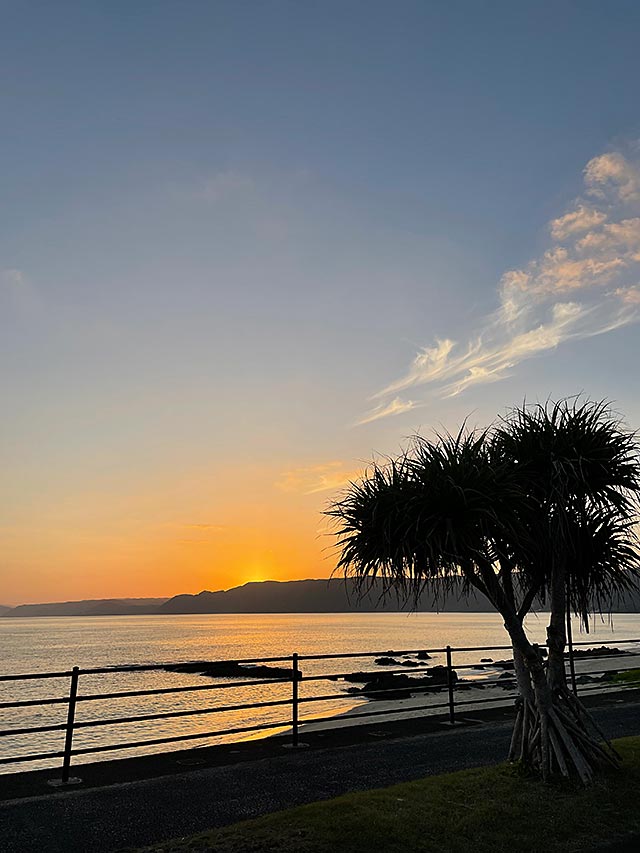 あまみのほこり'