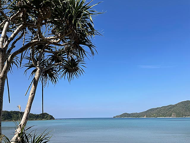 あまみのほこり'