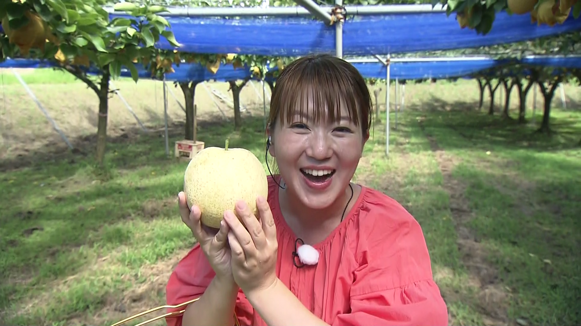 有村マルマサ観光農園