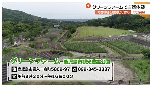 7月15日 木 鹿児島市喜入のグリーンファームと周辺を紹介 かごnew ｋｔｓ鹿児島テレビ Kagoshima Television For Smile