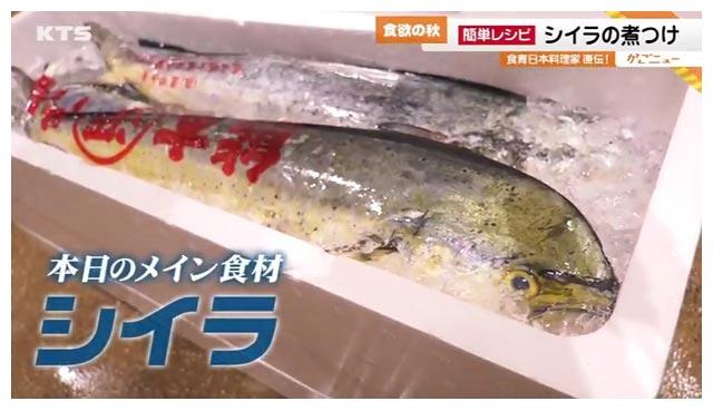 10月16日 金 今こそ食べたい鹿児島のお魚を特集 簡単レシピも かごニュー ｋｔｓ鹿児島テレビ Kagoshima Television For Smile