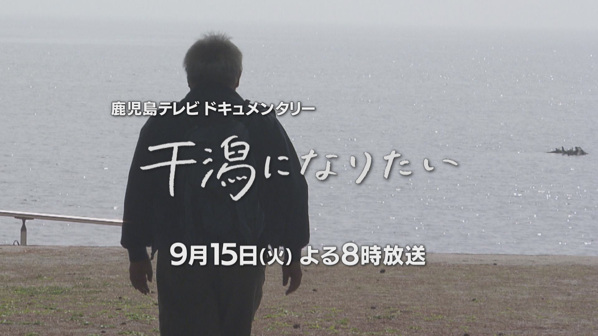 干潟になりたい