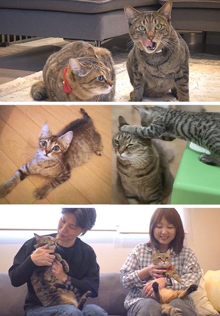 2026/9/5OA わんにゃんプラスかごしま♪＃544「お兄ちゃん 頑張ります