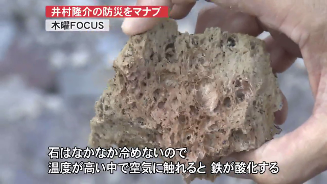 お気に入り 軽石 桜島 置物