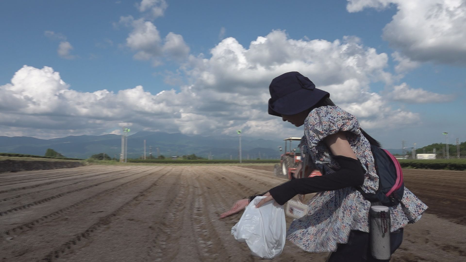 種まきから開花までを追った霧島市と南九州市の花畑の風景。