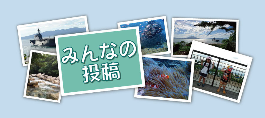 みんなの投稿